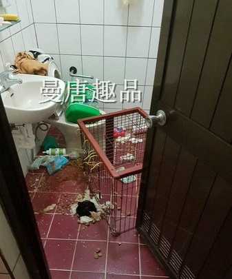 女租客留满屋垃圾…还有拳头大的按摩棒！房东苦笑：PRO级的