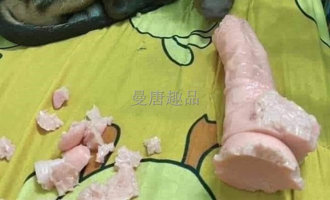 小黑啃情趣震动按摩棒当洁牙骨 网笑翻：敢把你爸咬成这样