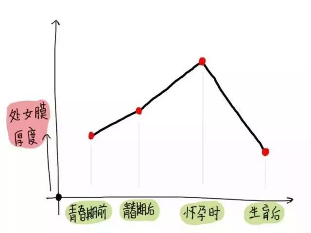 “处女膜”大探秘 科普问答