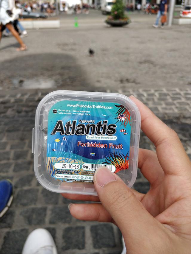 Atlantis意为大西洋，吃了后上天下海？