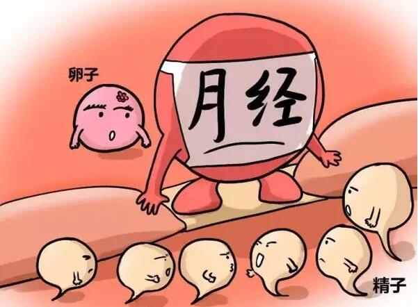 卵子蠢蠢的死法：憋死、无聊死、孤独死......你还知道哪些？