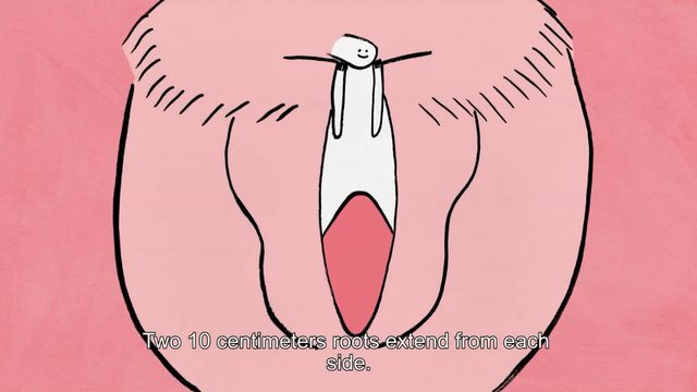 阴蒂有趣科普