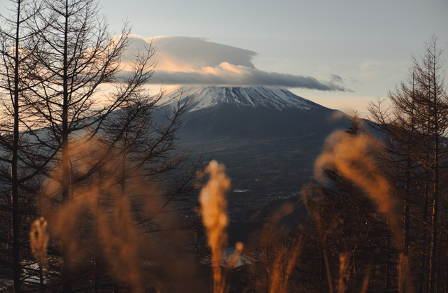 富士山