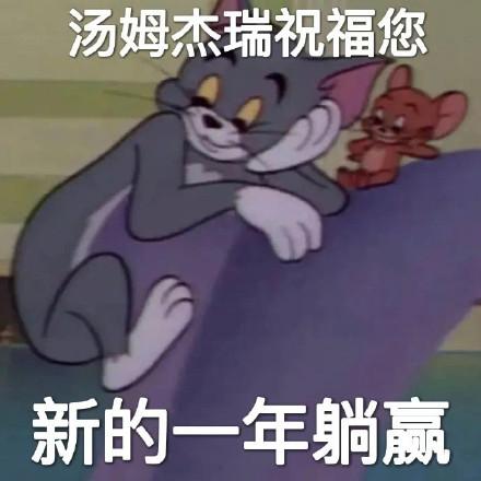 猫和老鼠