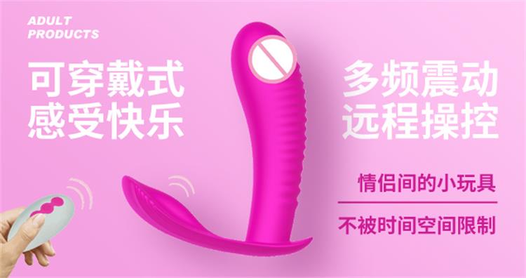 情侣性玩具